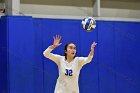 Volleyball vs Babson  Wheaton Women's Volleyball vs Babson College. - Photo by Keith Nordstrom : Wheaton, Volleyball, VB